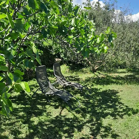 Dreamview * Moscenice