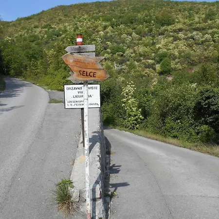 Dreamview * Moscenice